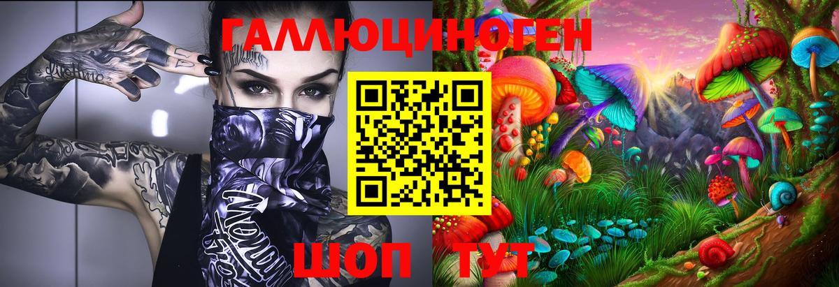 Новосибирск  Галлюциногенные грибы Cubensis  Вход с VPN  Псилоцибиновые грибы MAGIC MUSHROOMS 